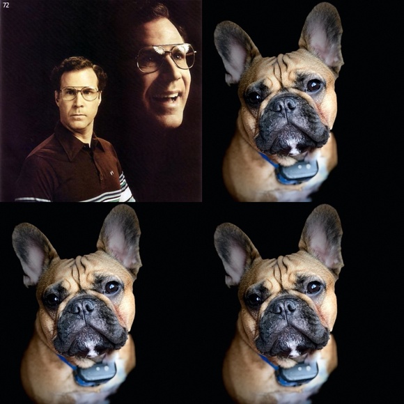 Meet your Posher, Tracy - Picture 8 of 15